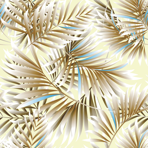 热带棕榈树的图案图片下载