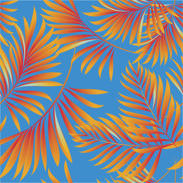 热带棕榈树的图案图片下载