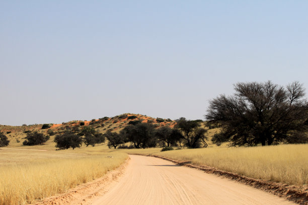 沙漠公路图片下载