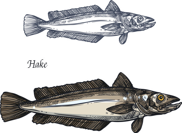 鱼矢量图素材ID：308497632