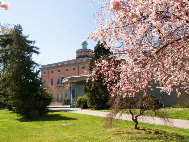 Ciani公园全景图片下载