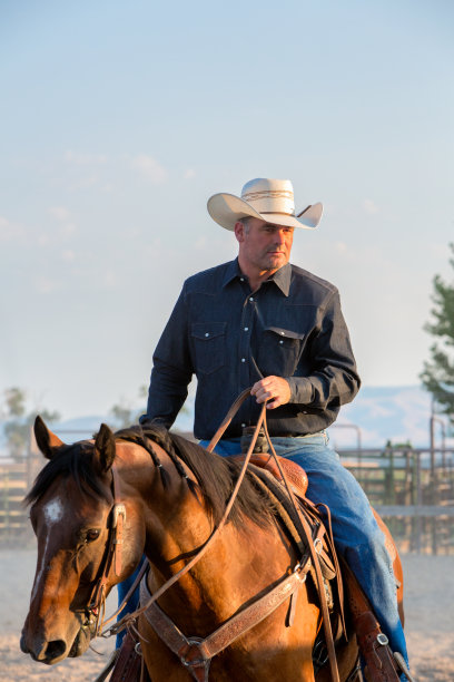 崎岖的牛仔竞技表演图片下载