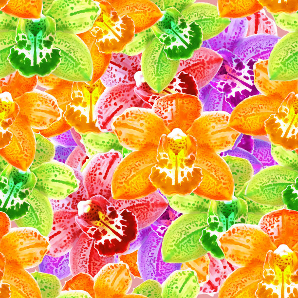 兰花,蝴蝶兰属。花型纹理无缝。花背景，照片拼贴图片下载