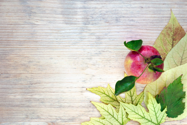 成熟的红苹果挂在黄叶上。木制背景。秋天的成分。本空间图片下载