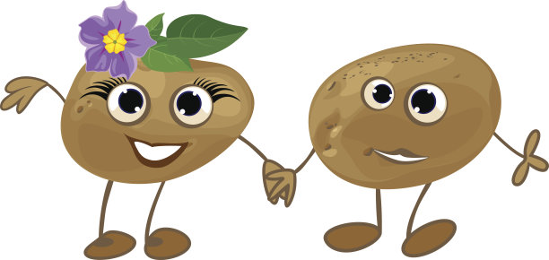两个有趣的土豆。图片下载