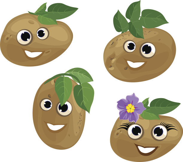 有趣的土豆和绿色的叶子图片下载