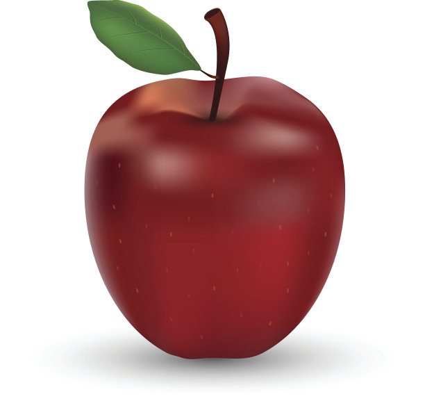 孤立的苹果果实，背景为白色图片下载