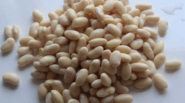 哈里科特图片下载