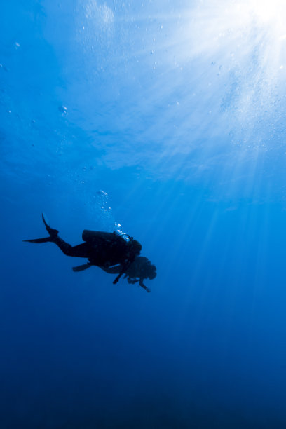 两名水肺潜水员在费尔南多·迪诺罗尼亚迎着日出图片下载
