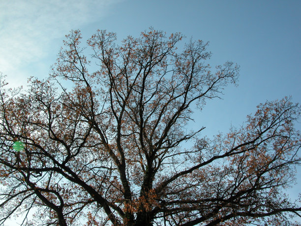 冬天的德国图片下载