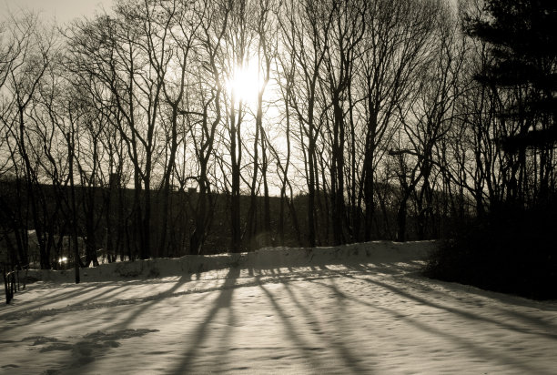 秋天在皇后区图片下载