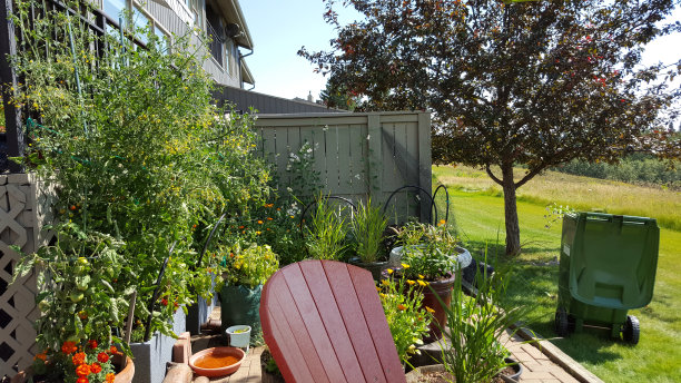 带有绿色垃圾箱的环保庭院花园图片下载