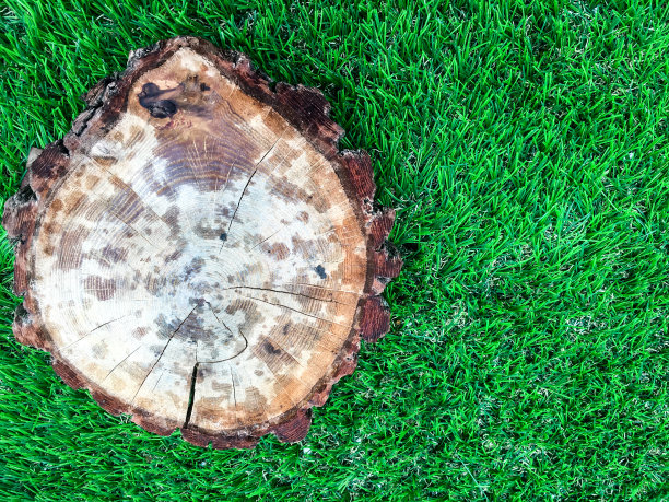 纹理树干滑动与草的背景图片下载