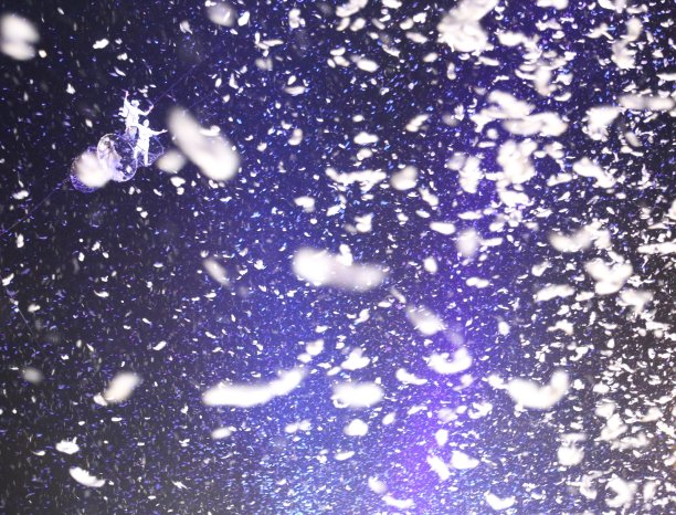 夏季雪花飘落(羽毛)图片下载