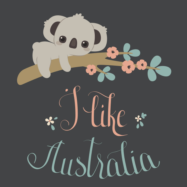 一只考拉躺在花树枝上图片下载