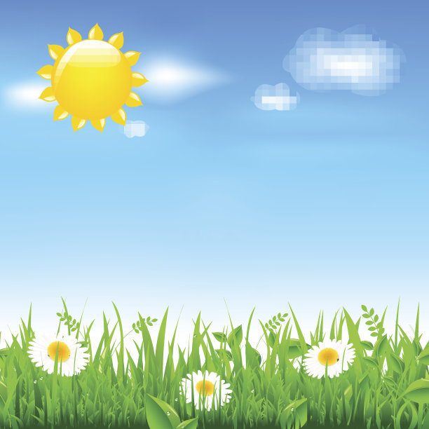 有阳光和甘菊的风景图片下载