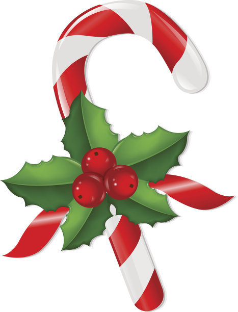 冬青树莓圣诞棒棒糖图片下载