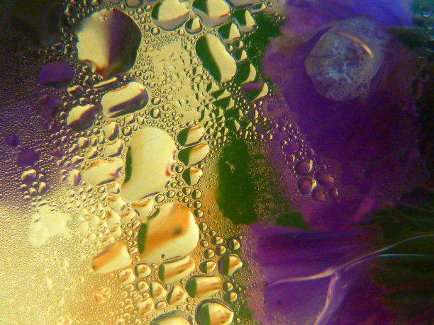 花和雾图片下载