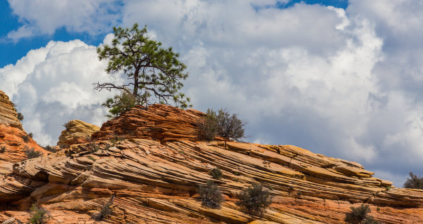 秋天的锡安国家公园，有红色的砂岩图片下载