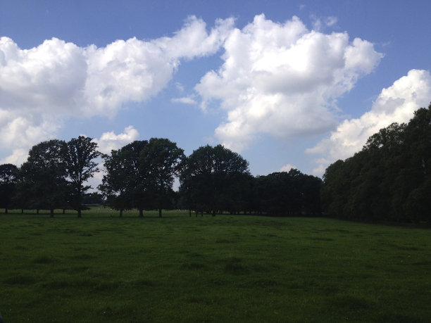 层次和水平图片下载