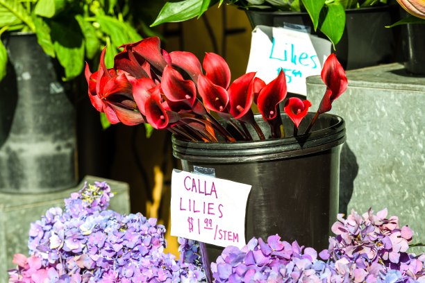 新鲜农产品图片下载