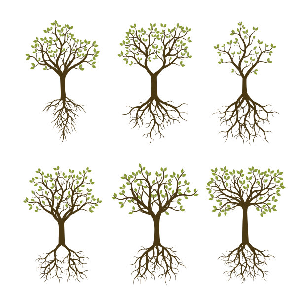 设置颜色树的叶子和根。矢量插图。图片下载