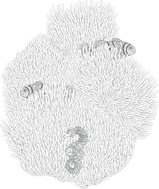海葵中的鱼有很高的细节。图片下载