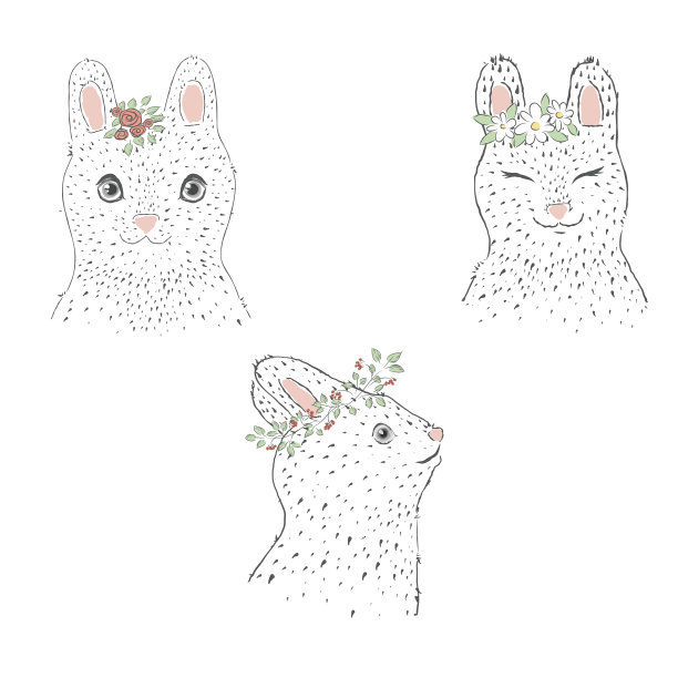 可爱的兔子图片下载