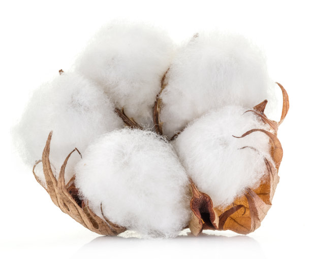 白色背景上蓬松的棉花球。图片下载