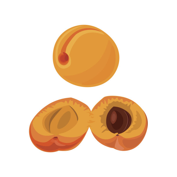 白底上的杏子图片下载