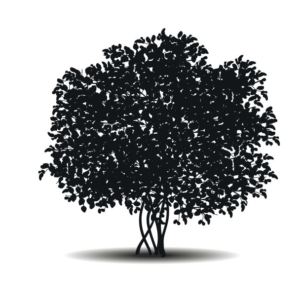 剪影灌木与树叶和阴影图片下载