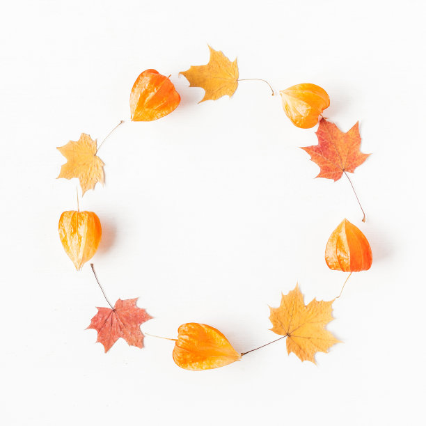 用秋季枫叶和酸浆花做成的花环图片下载