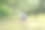 亚洲小女孩在夏天的田野里玩捕虫网，后视图。图片下载