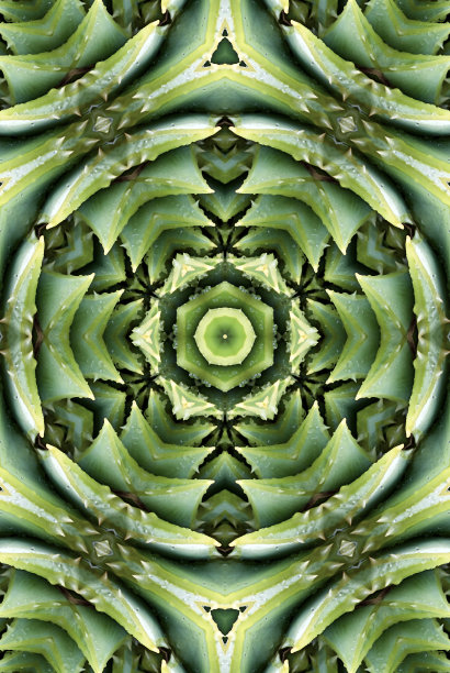 多汁的曼荼罗图片下载