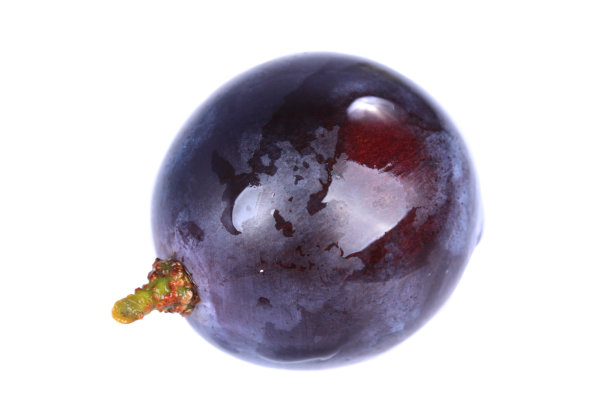 康科德葡萄孤立的白色图片下载