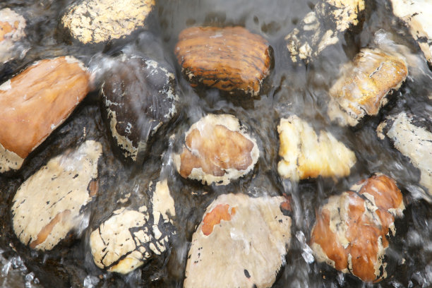 河水覆盖的河石图片下载