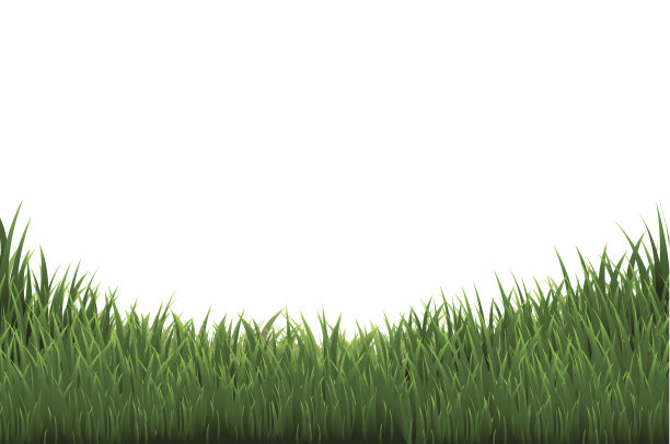 草边境图片下载