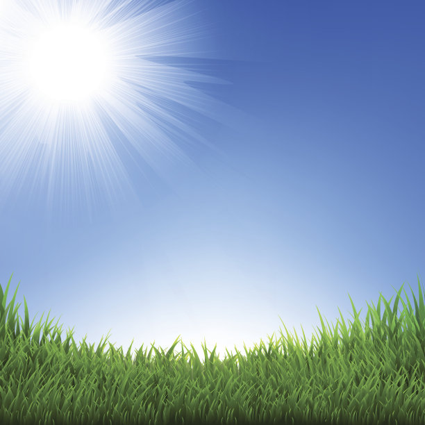 草和天空图片下载