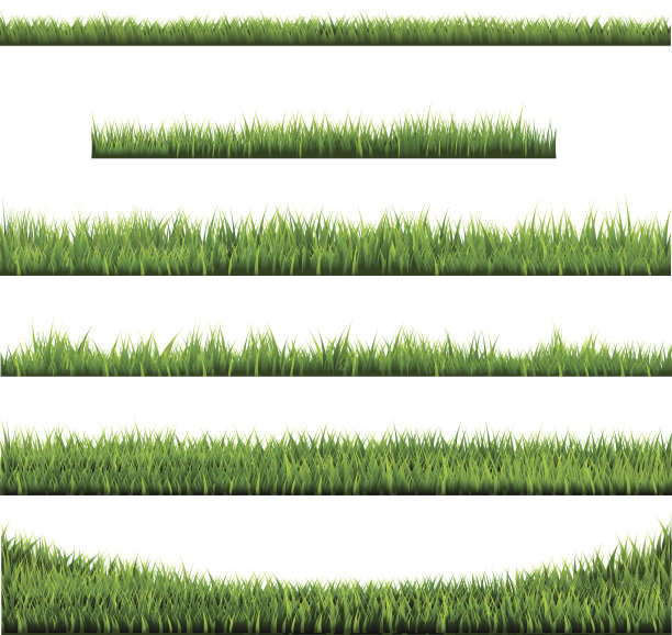 草边大收藏图片下载