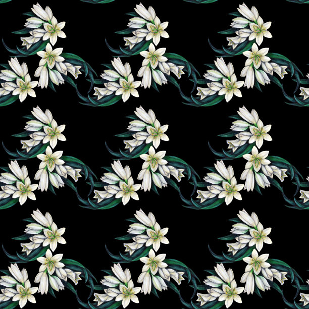 来自白色君子兰的花序的无缝花图案图片下载