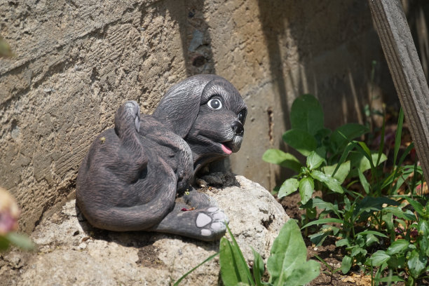 花园里装饰着一只灰色的可爱小狗，躺在它的背上图片下载