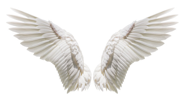 背景图照片素材ID：308670930