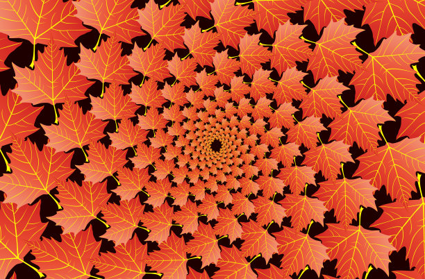 黑色背景上的梧桐树的红色叶子图片下载