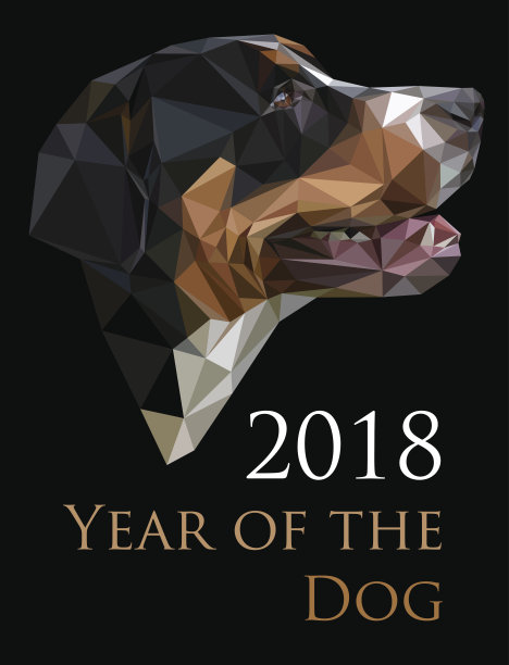 矢量图像的瑞士狗在低多边形风格。图片下载