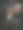 矢量图像的瑞士狗在低多边形风格。图片下载
