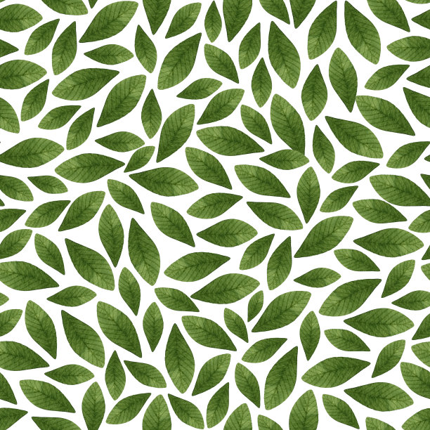 绿色的栗叶用水彩无缝绘制图案图片下载