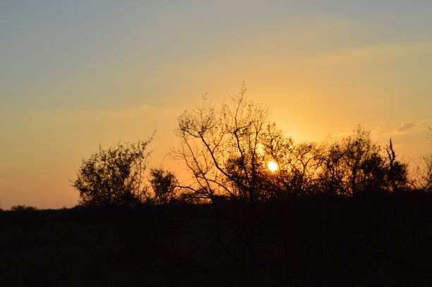 日落在非洲图片下载