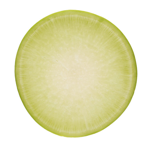 白底上的绿萝卜素材图片