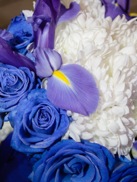 蓝色玫瑰花束的特写图片下载