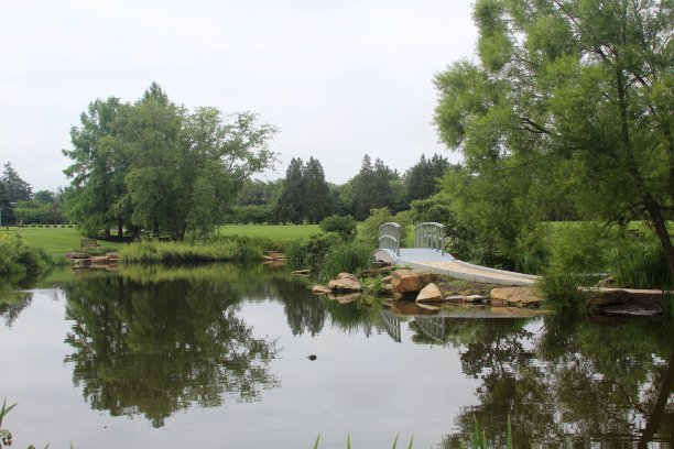 池塘和景观图片下载